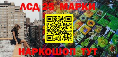 мдпв Тула
